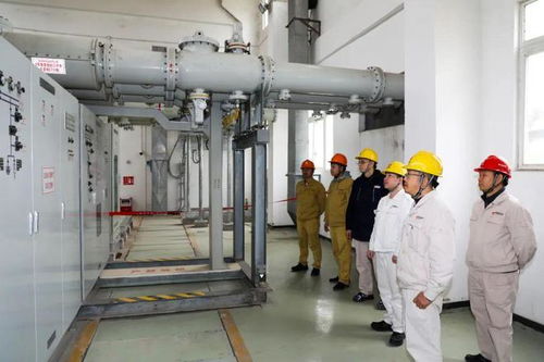 保障能源安全 國能肇慶電廠二期工程廠用電受電一次成功，手機(jī)軟件設(shè)計(jì)助力智慧電廠